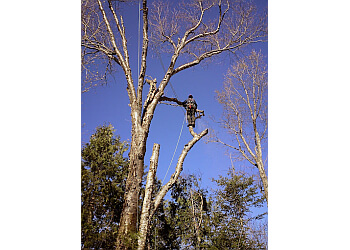 Repentigny tree service Élagage Haute Voltige