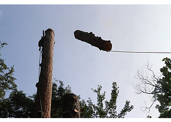 Granby tree service Élagueurs Arbor Inc.