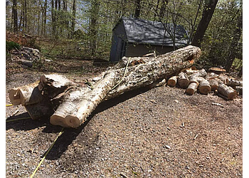 Quebec tree service Émondage BOIS-VERT