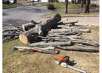 Quebec tree service Émondage BOIS-VERT