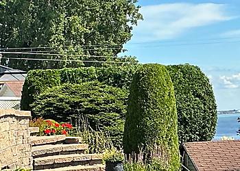 Shawinigan tree service Émondage GKM