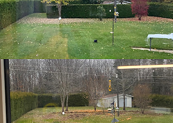 Émondage GKM - Shawinigan, QC Tree Services - Before and After Image