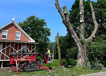 Émondage JAJ Inc. - Sherbrooke, QC Services d'arboriculteur - Tree Trimming Image