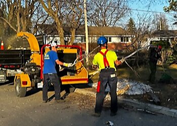 Sherbrooke tree service Émondage JAJ