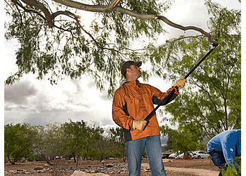 Montreal tree service Émondage JL image 1