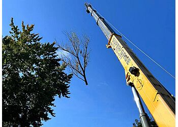 Saint Hyacinthe Services d'arboriculteur Émondage Maska