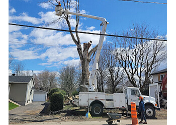 Saint Jean sur Richelieu Services d'arboriculteur Émondage SR Inc