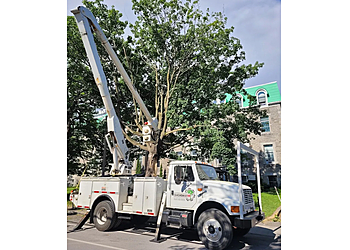 Saint Jean sur Richelieu Services d'arboriculteur Émondage SR Inc