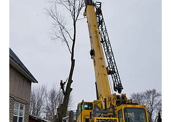 Granby tree service Émondexpert