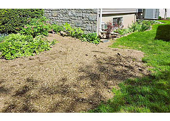 Granby tree service Émondexpert