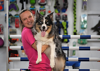 Énergie Canine Estrie - Sherbrooke, QC Dog Trainers - Dog Training Image