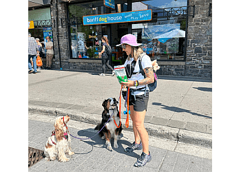 Sherbrooke dog trainer Énergie Canine Estrie