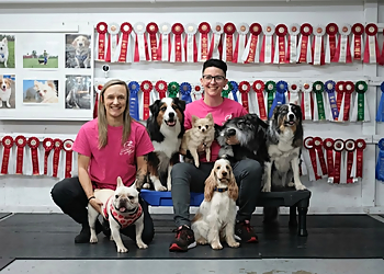 Énergie Canine Estrie - Sherbrooke, QC Dog Trainers - Dog Trainer Image